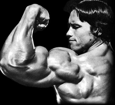 big-biceps-arnold