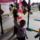 fotos diversas 197.jpg