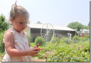 2011 Jun 08_0022 2011 Jun 08_0022