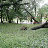 Another Monday shot. Not sure who's big green box that washed up and got stuck under the tree in the distance.