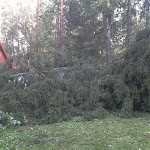 2012-08-06 17.56.56.jpg