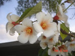 DSC01234.JPG
