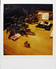jamie livingston photo of the day December 16, 1992  Â©hugh crawford