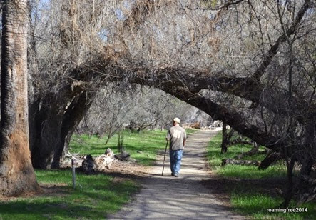 Meandering on the Mesquite Meander Trail