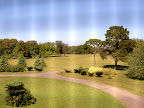 20100328105517PICT4154.JPG