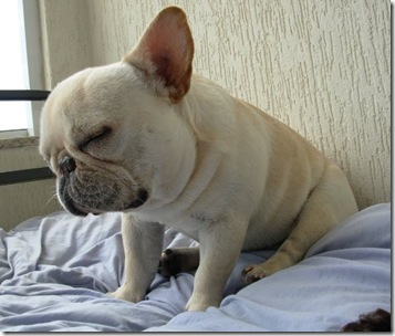 Cansado2 Cansado2