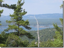 IMG_1156 IMG_1156