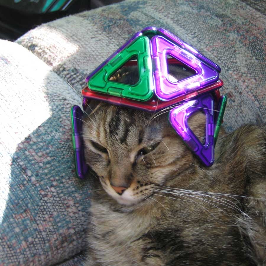 [DavecatMagformers33.jpg]