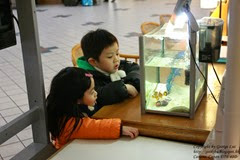 IMG_3091 IMG_3091