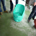 P1090534.JPG