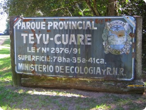 teyu-cuare