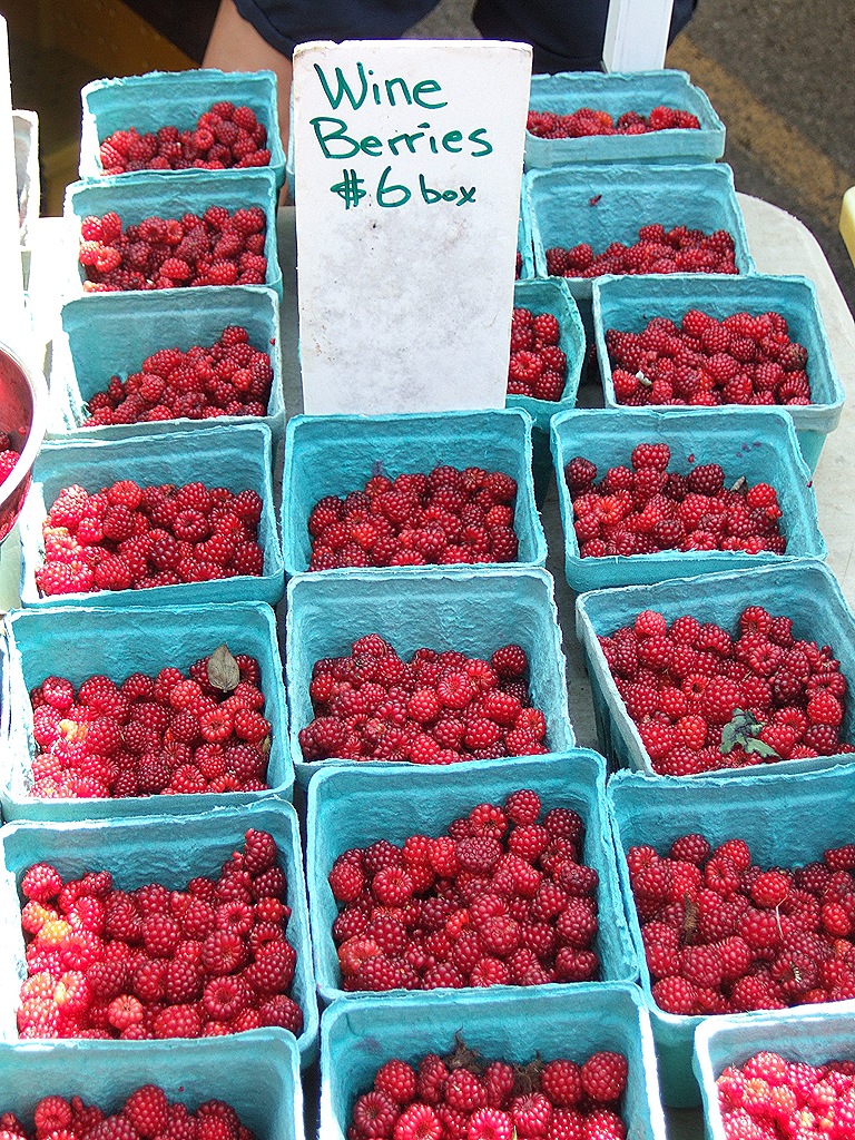 [lunchboxes-01410.jpg]