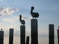 IMG_4651.jpg