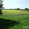 dsc06823.jpg