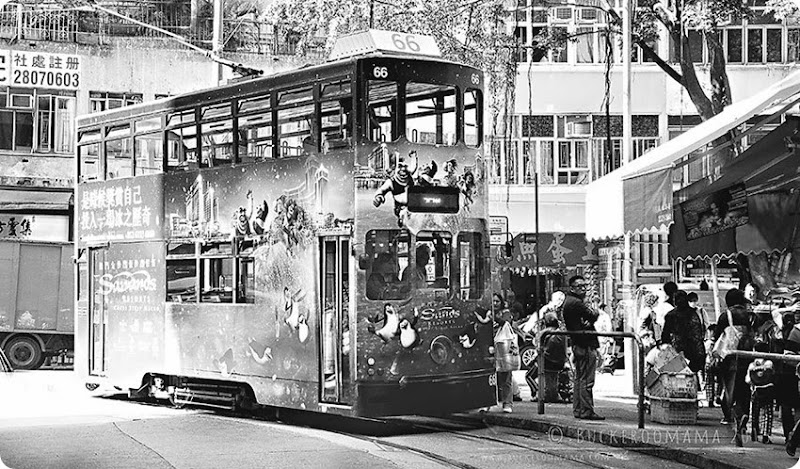 Tram-(1a) Tram-(1a)