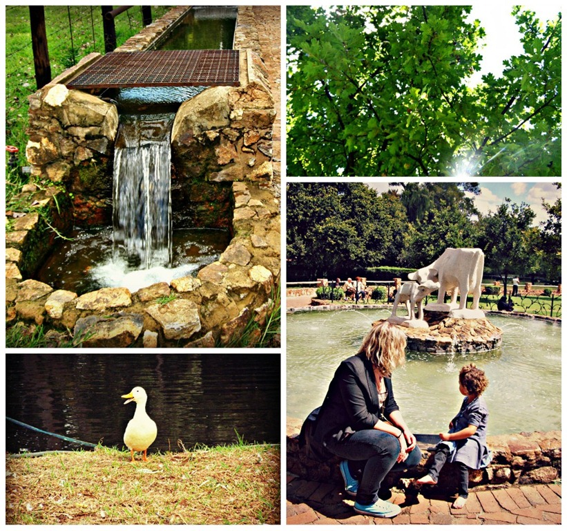 [Picnik%2520collage2%255B4%255D.jpg]