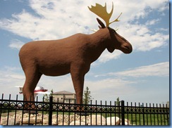 8506 Saskatchewan Trans-Canada Highway 1 Moose Jaw - Mac, The World's Largest Moose at Visitor Centre