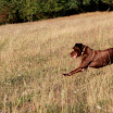_MG_5631.JPG