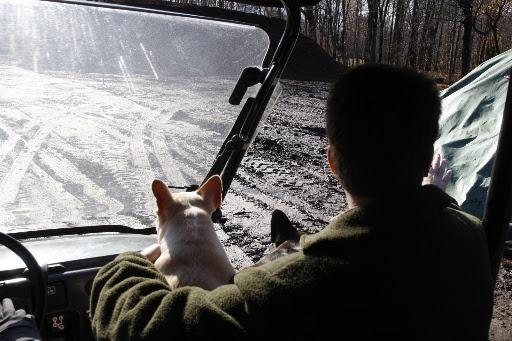 It rained last night and there is a field of mud at the gigantic compost piles.  I don't think we'll get out and walk.  Martha had to put the Kawasaki in low gear.