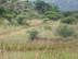 South Africa Day 1 - On Safari