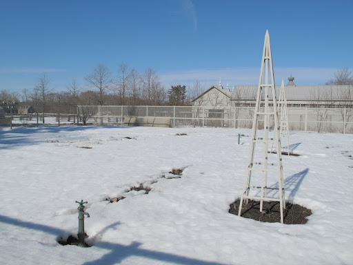 The vegetable garden is a barren, frozen tundra.  Let me pop into the greenhouse and see what's happening in there.