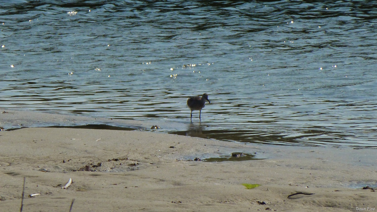 [Basshole%2520beach_015%255B4%255D.jpg]