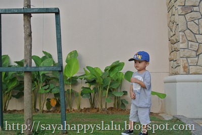 DSC_0862 DSC_0862