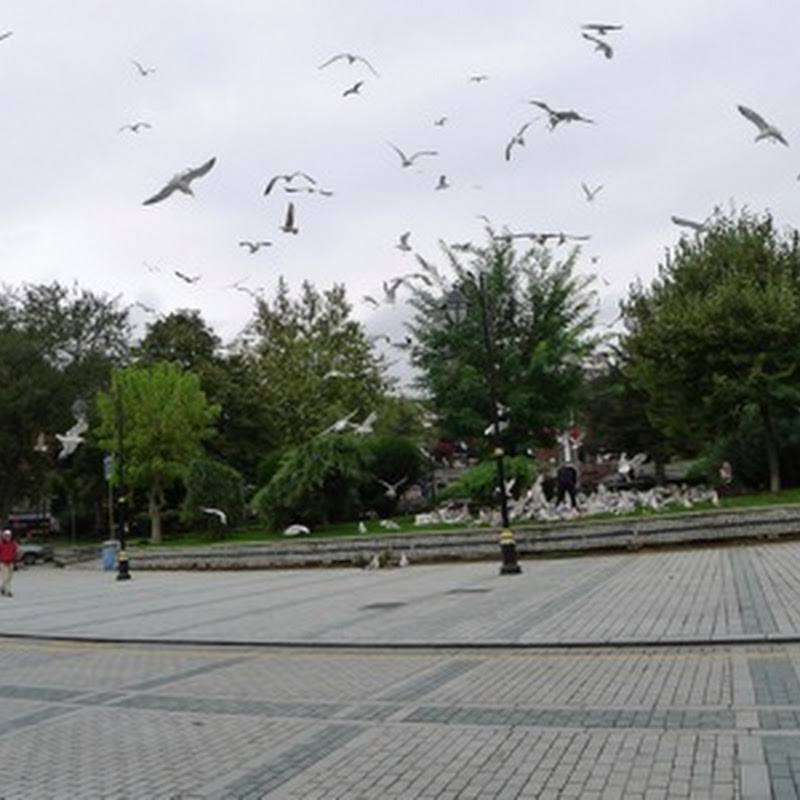 Turkey, Days 11 & 13: Istanbul Part 3