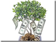 Beneficios de carbono Beneficios de carbono