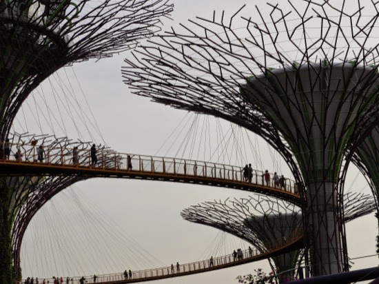 P1130343.jpg The 'trees' in the Gardens by the Bay