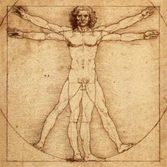 c0 Leonardo Da Vinci's "Vitruvian Man"