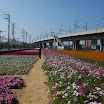 renwu_hanada_068.jpg