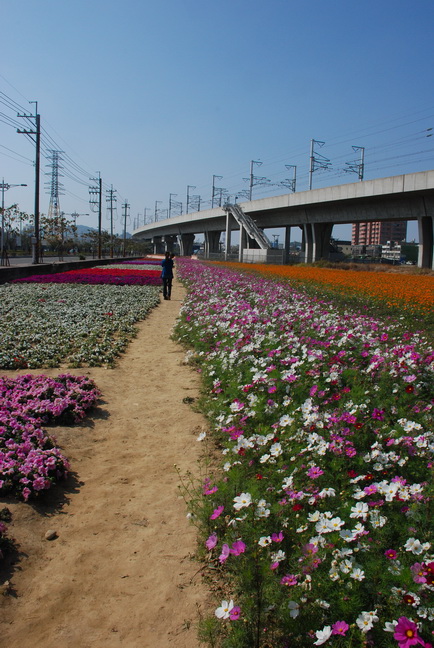 renwu_hanada_068.jpg