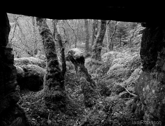 Under the incline (1280x960) Under the incline (1280x960)