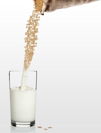 [leche-de-arroz-composicion-y-benefic%255B2%255D.jpg]
