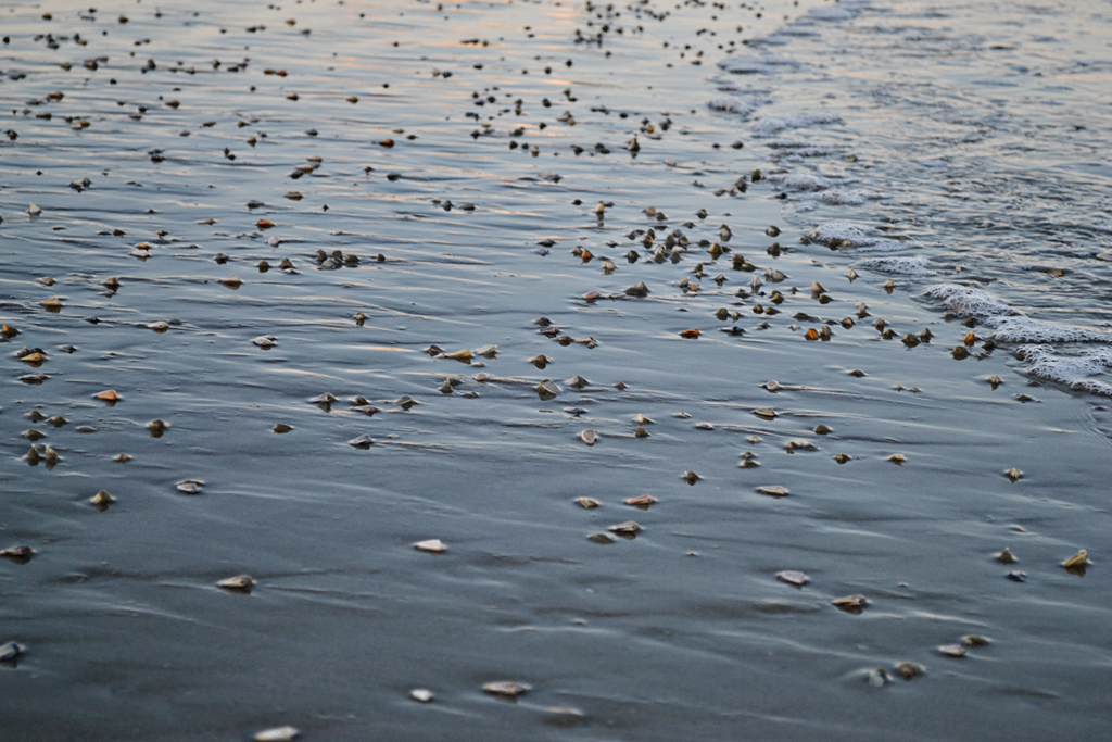 [DSC_0268_edited-14.png]