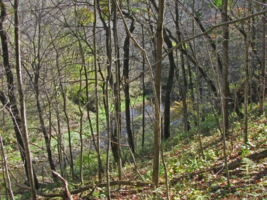 Brush Creek Canyon 10.16.11 (11)