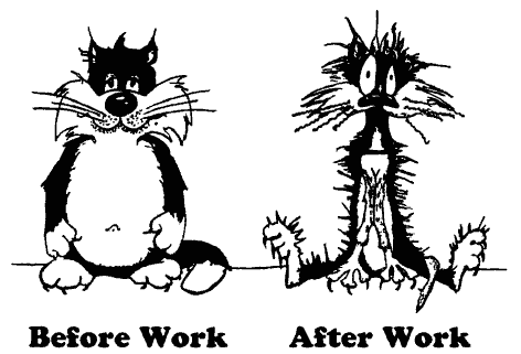 [BeforeWorkAfterWork%255B2%255D.gif]