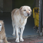 DSCN4754.jpg