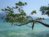 Koh Lipe Resimleri Fotoğrafları