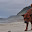untitled album - 224.jpg