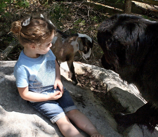 This little animal lover- and budding educator- runs around proudly challenging many a smart adult to guess the names listed on her favorite T-shirt! That's education in action for sure! This little animal lover- and budding educator- runs around proudly challenging many a smart adult to guess the names listed on her favorite T-shirt! That's education in action for sure!