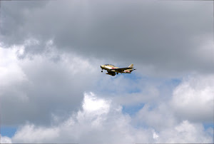 waterloo_014.jpg