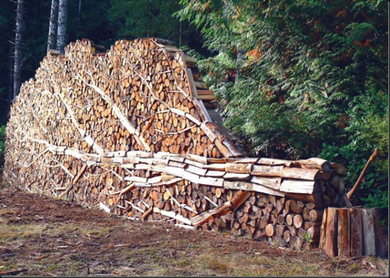 clip_image001 clip_image001