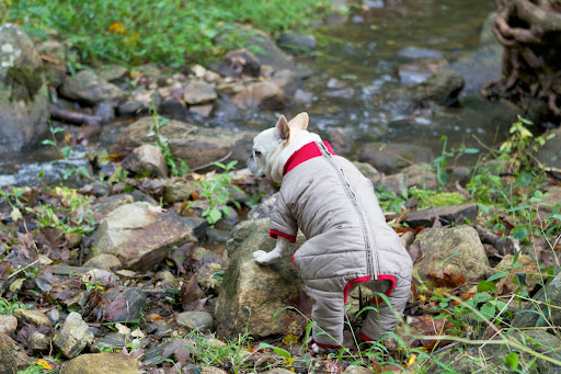 My Puff Pajama is a full-body suit that allows for running and playing freely in comfort while staying nice and warm. My Puff Pajama is a full-body suit that allows for running and playing freely in comfort while staying nice and warm.