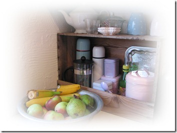 IMG_3818 IMG_3818