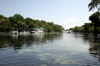 Silver Glen