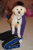 IMG_0048-8.JPG