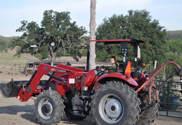 tara 021