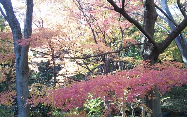 [IMG_20131130_134205%255B4%255D.jpg]
